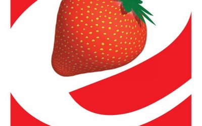 E-Press Kft. Szeged Nyomdacsarnok légnedvesítés