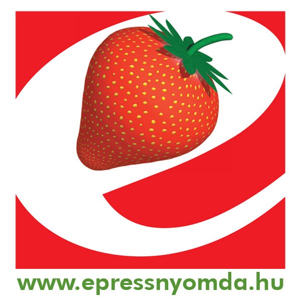 E-Press Kft. Szeged Nyomdacsarnok légnedvesítés